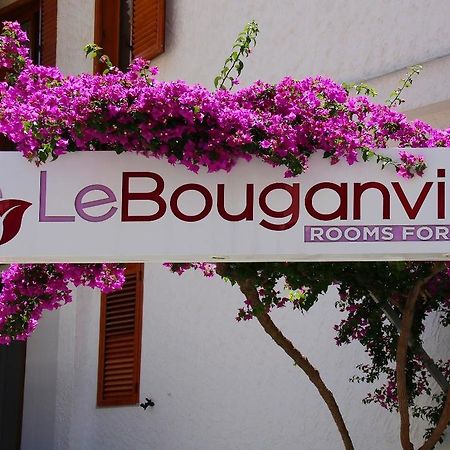 Le Bouganville Vieste Exteriör bild